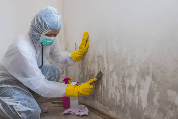 Best Mold Cleaning Services  in Pendergrass, GA