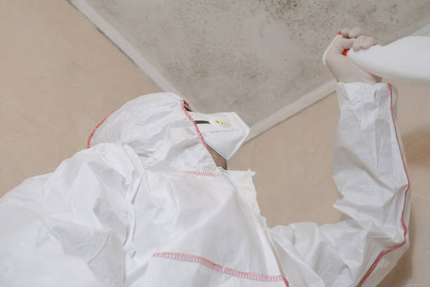 Best Same-Day Mold Removal  in Pendergrass, GA