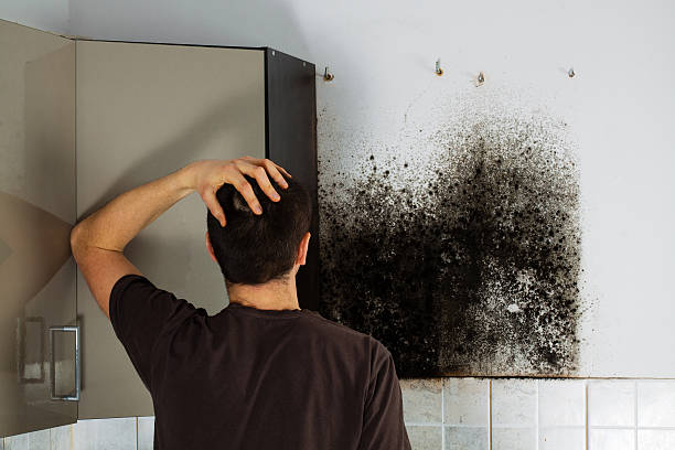 Best Toxic Mold Removal  in Pendergrass, GA